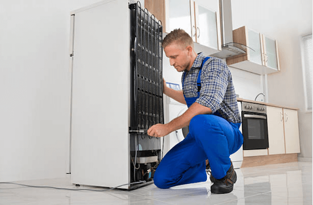 refrigerator repairman